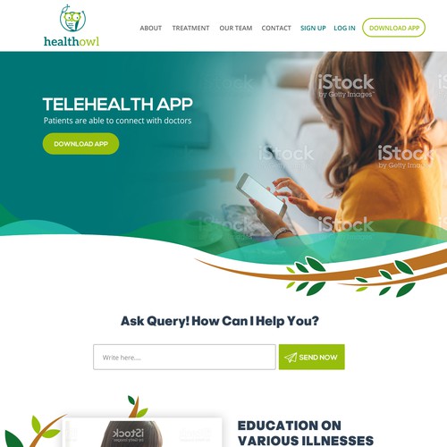 Web Page Design - Health Owl