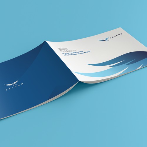 Falcon electric brand guide (1-to-1) private project. 