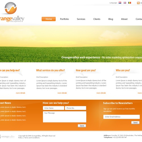 Website design - new online marketing company - Orangevalley.nl