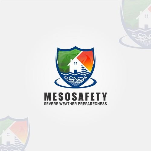 Mesosafety Logo