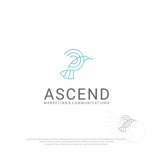 Bird Logo concept for Ascend