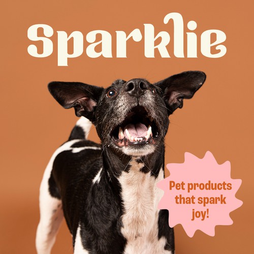 Logo Design for Pets Products Company