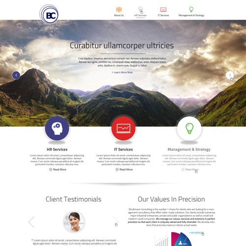 Business website design