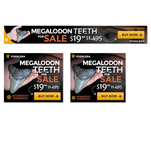 Banners Ad Megalodon Teeth For Sale