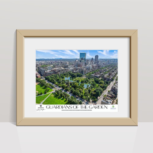 Boston Public Garden Print