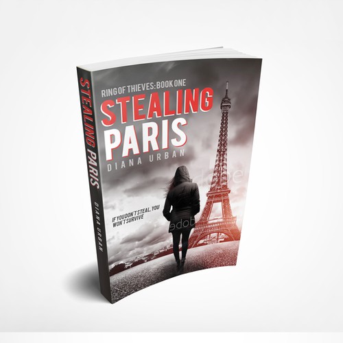 Stealing Paris