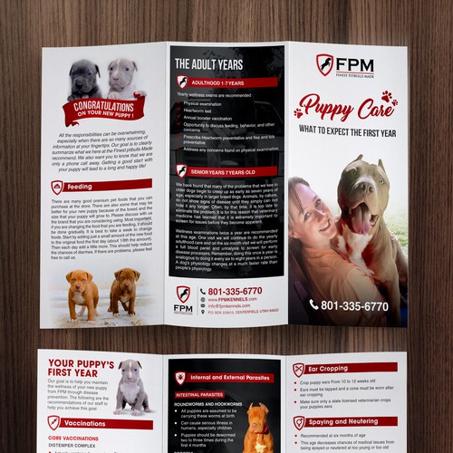 Brochure Puppy Care