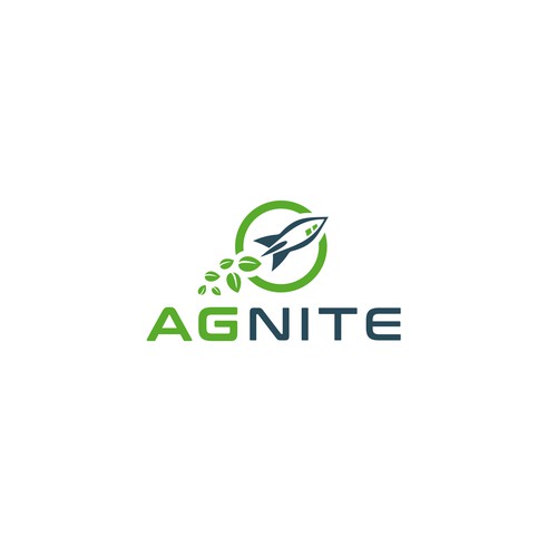 AGNITE log design