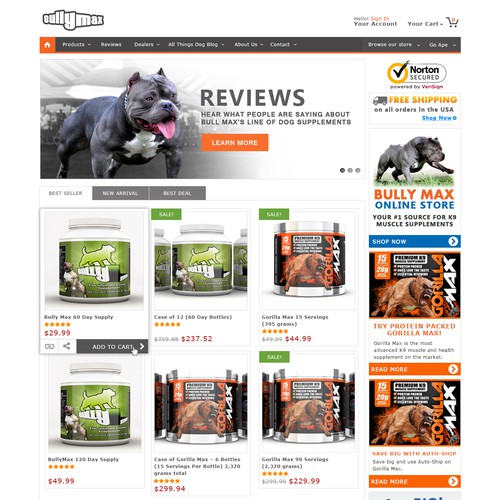 HOMEPAGE AND GRAPHICS NEED RE-DESIGNED FOR BULLYMAX.COM! 