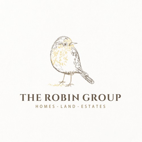 the robin bird logo design