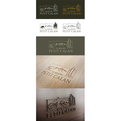 Create a logo for a luxury rental home in Provence / South of France