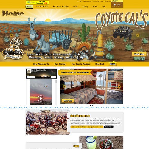 Coyote Cals sport activity