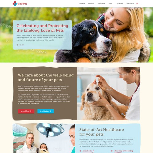 Web Page Design For VitalPet