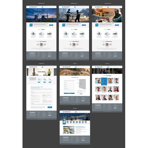 Corporate web design for Terrawest