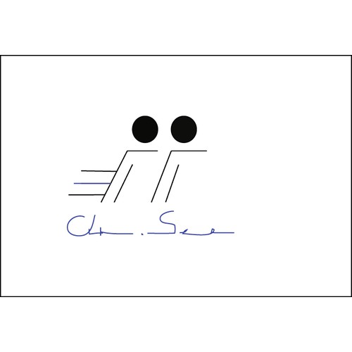 Create an awesome logo for a cool new sunglasses brand