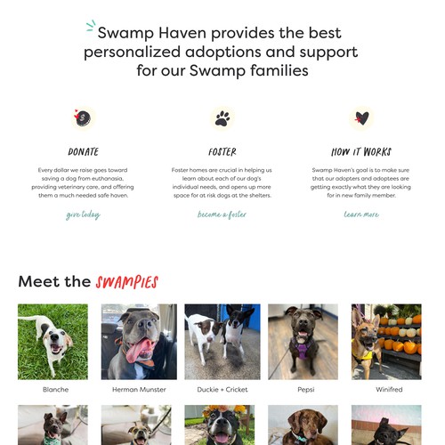Swamp Haven Dog Rescue
