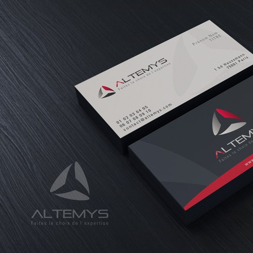 LOGO ALTEMYS