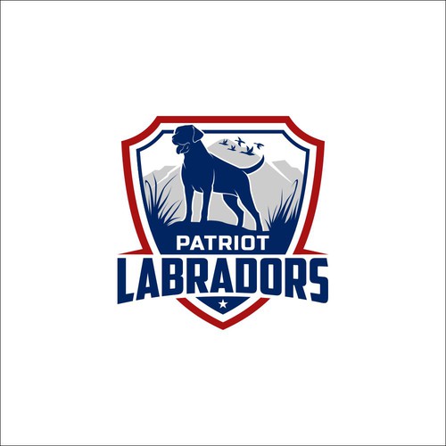 labradors