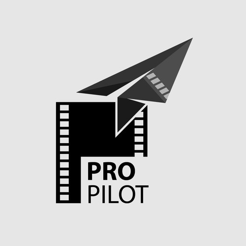 My concept for Pro Pilot