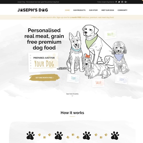 Joseph's Dog website design