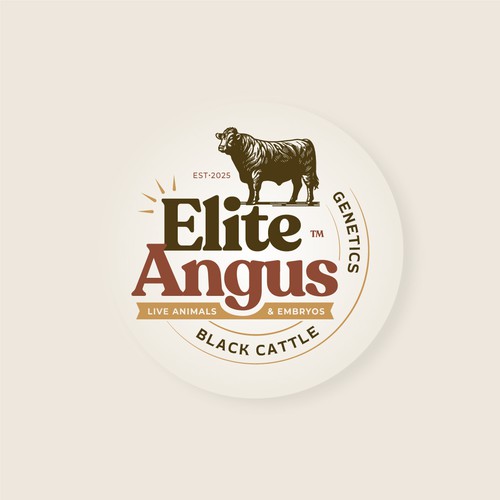 Propuesta de diseño - Elite Angus Cattle logo