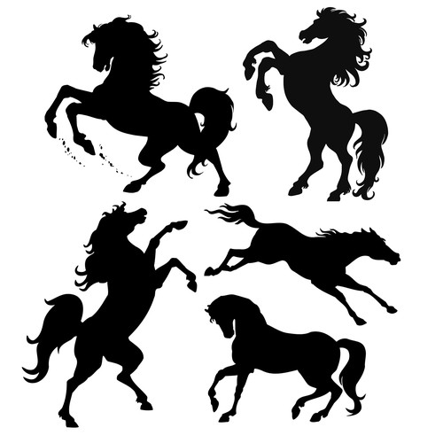 Black silhouette of horse.