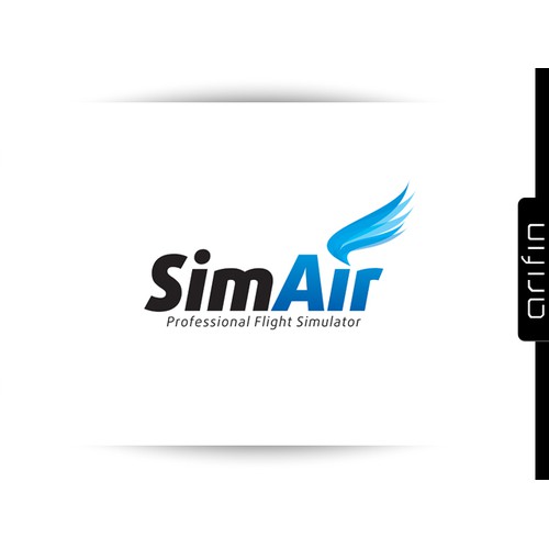 Logo for flightsimulator service