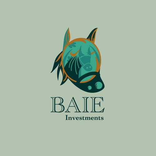 Logo for BAIE investments