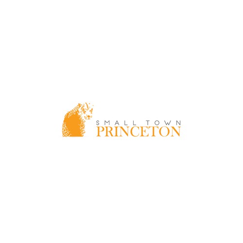 Logo concept for Princeton