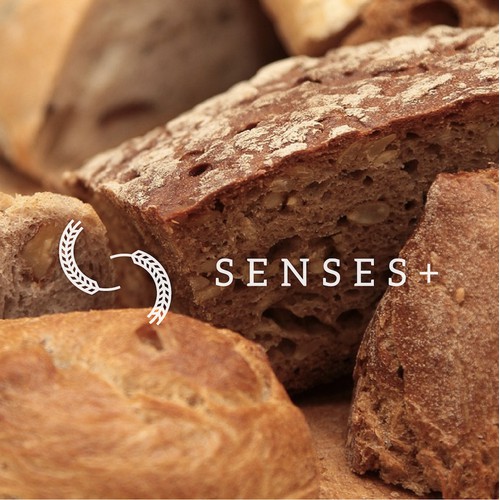 Logo Design - Senses+