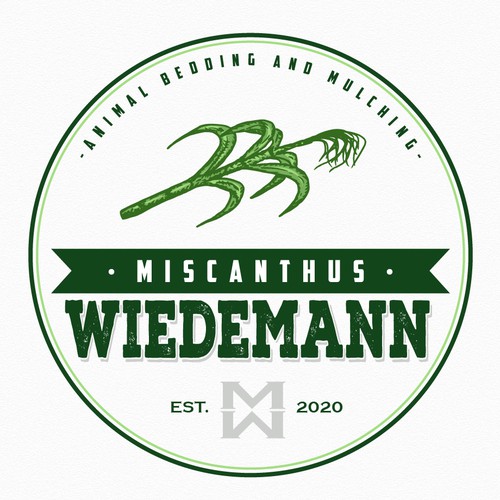 Miscanthus Wiedemann