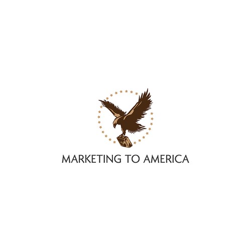 Logo for Marketing to America