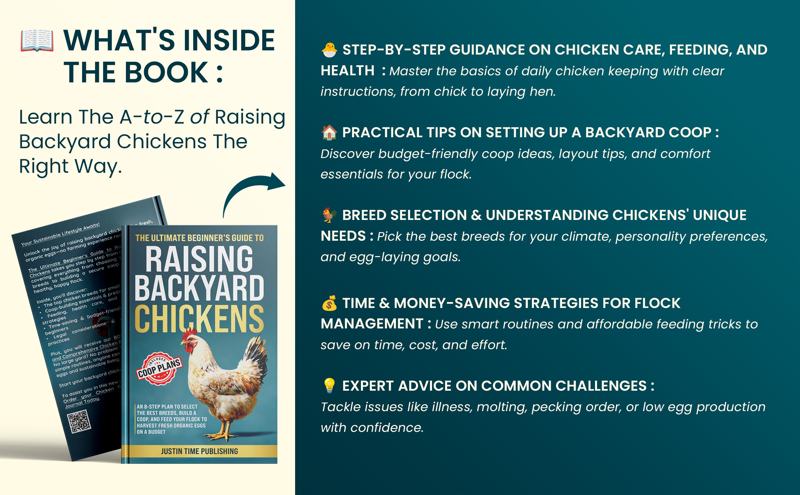Chicken Raising - A+ Content