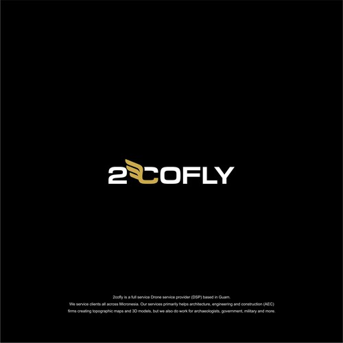 drone services company