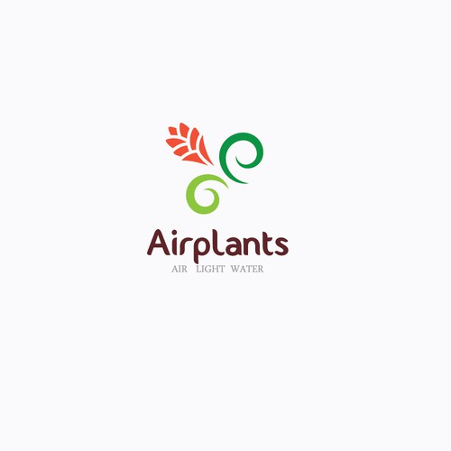 Create the next logo for Air Planet