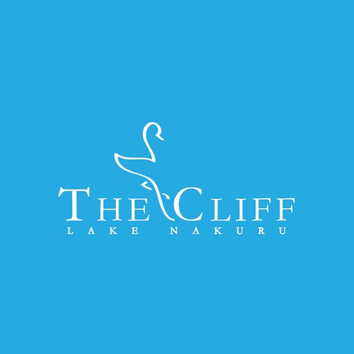 Design - The Cliff