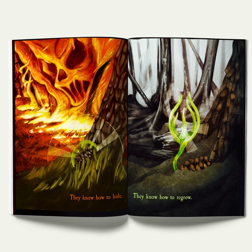 Forest Fire