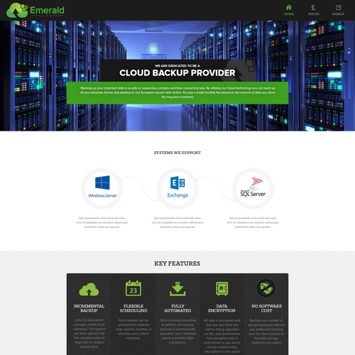 Cloud backup website