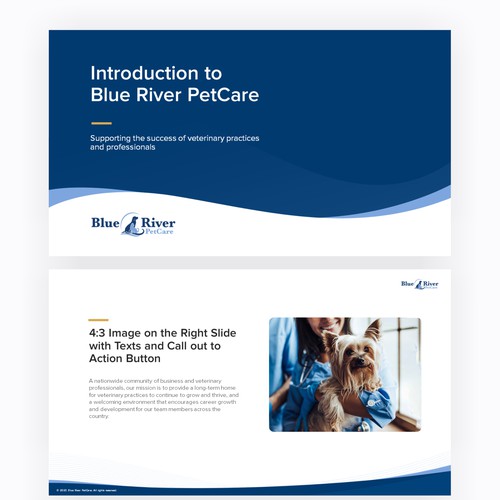 Blue Wavy Look for Blueriver Petcare