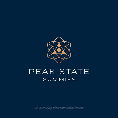Modern geometric logo for Peak State