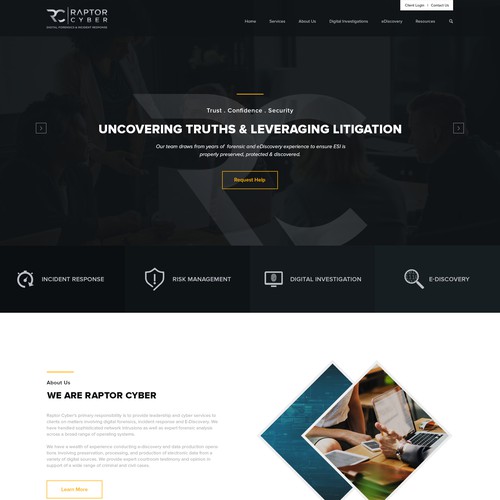 Web design for Raptor Cyber