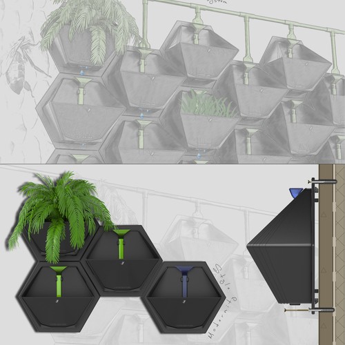 Design of a living wall system