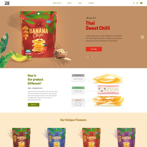 New Website Design for Organic Chips Brand