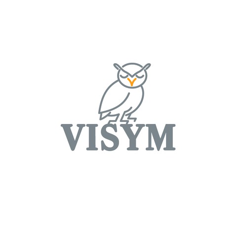 Visym