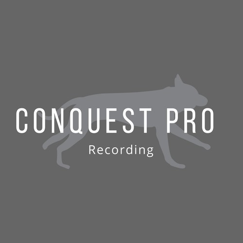 Bold logo for recording studio