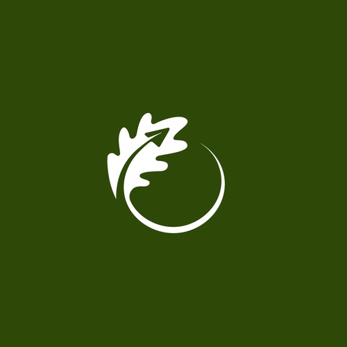 OAK Leaf + Paperplane logo for travel agency