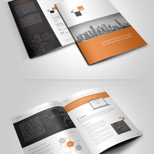 Eye catching brochure needed for FRS - high tech financial services company