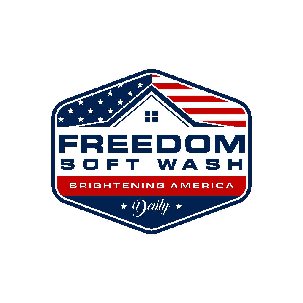 Design a Bold and Patriotic Logo for Freedom Power Washing