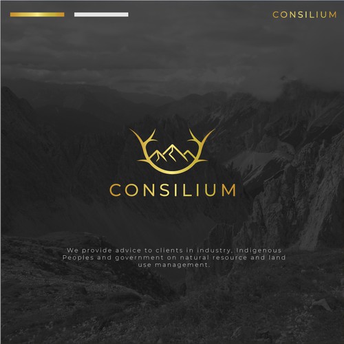 Consilium