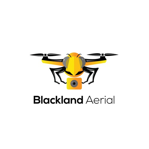 Logo concept for an Aerial Photography organisation with bee🐝 theme.